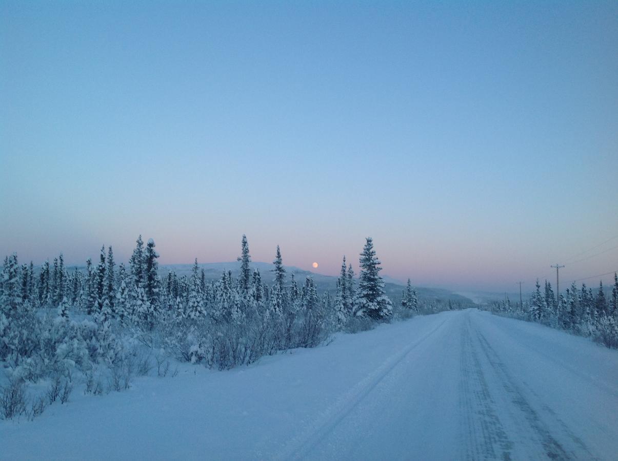 Denali Primrose Bed & Breakfast Healy Buitenkant foto