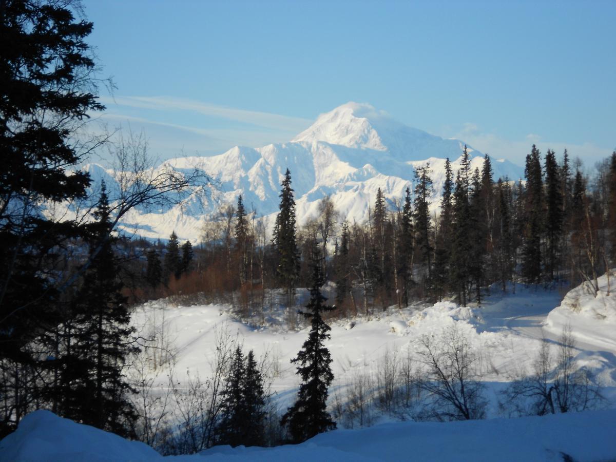 Denali Primrose Bed & Breakfast Healy Buitenkant foto