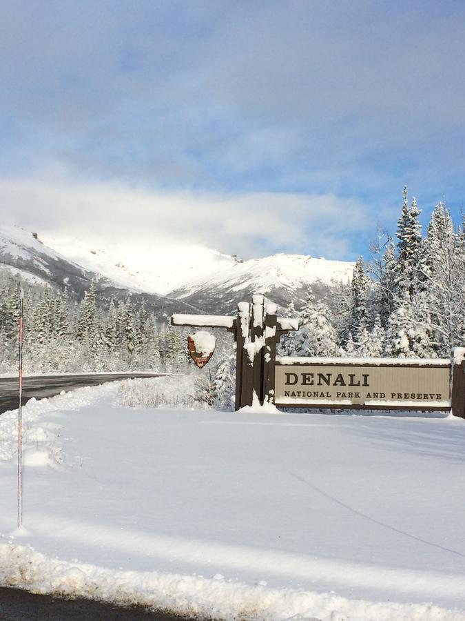 Denali Primrose Bed & Breakfast Healy Buitenkant foto
