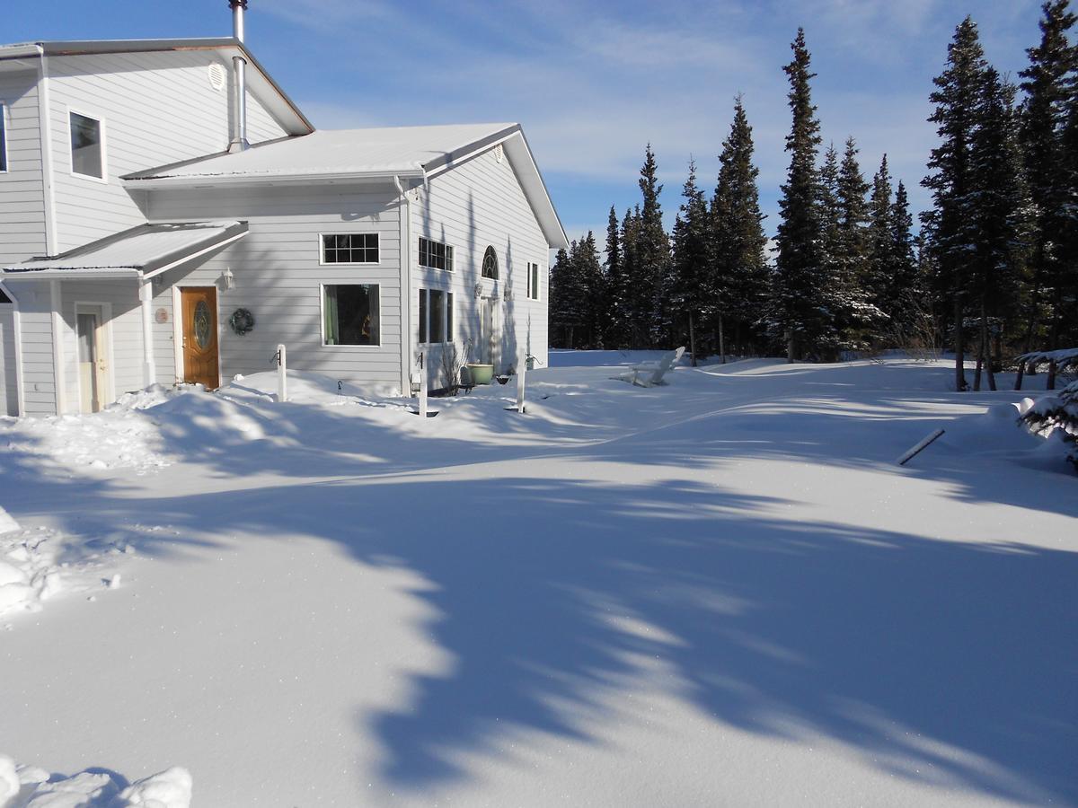 Denali Primrose Bed & Breakfast Healy Buitenkant foto
