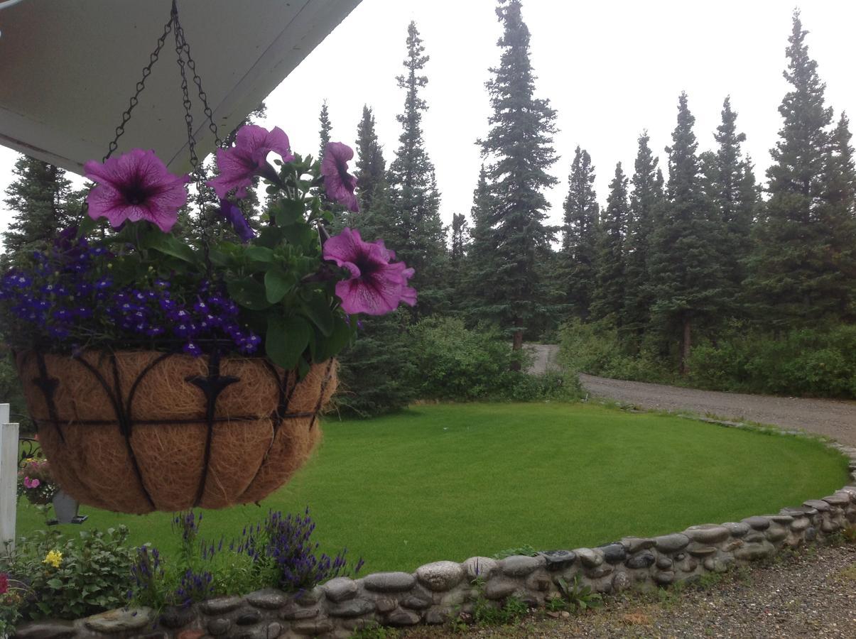 Denali Primrose Bed & Breakfast Healy Buitenkant foto