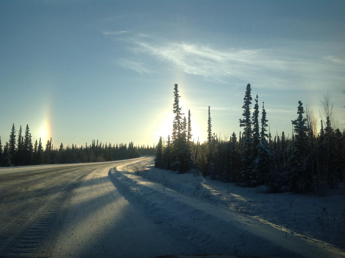 Denali Primrose Bed & Breakfast Healy Buitenkant foto