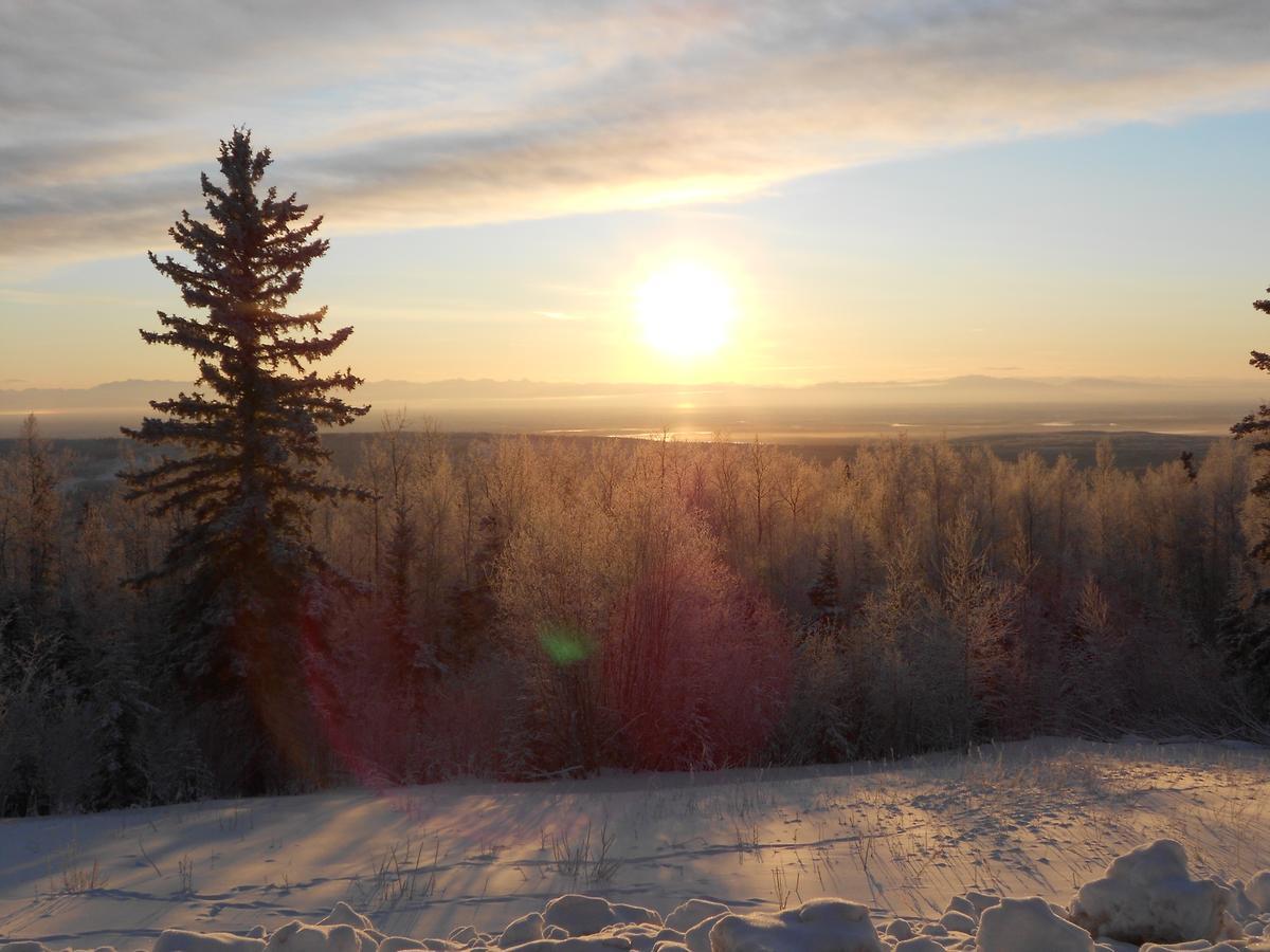 Denali Primrose Bed & Breakfast Healy Buitenkant foto