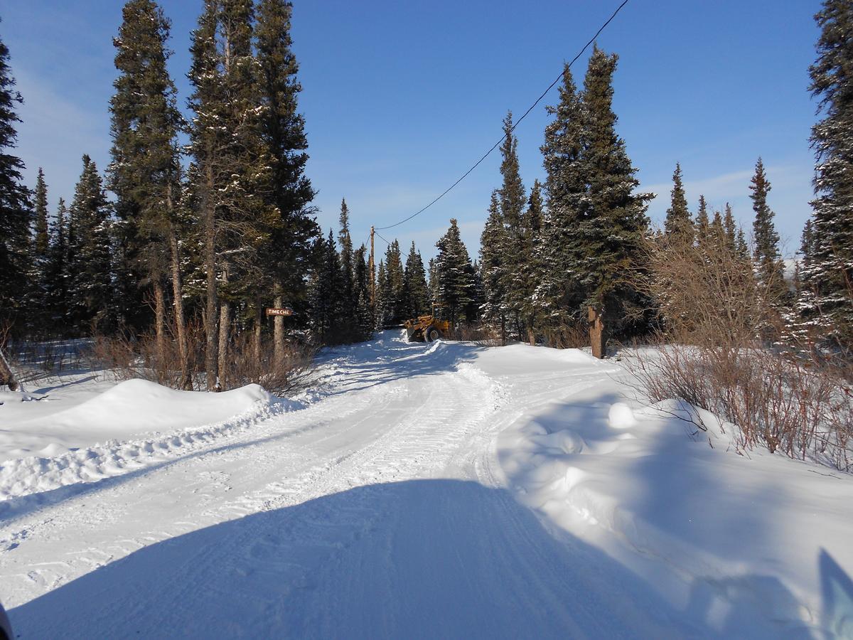 Denali Primrose Bed & Breakfast Healy Buitenkant foto