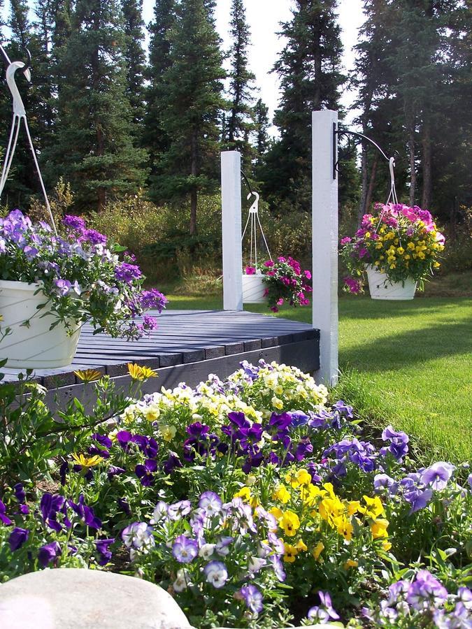 Denali Primrose Bed & Breakfast Healy Buitenkant foto